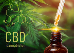 Green Leaf CBD Oil - Portugal - onde comprar